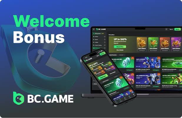 Key Features and Functions of the BC App